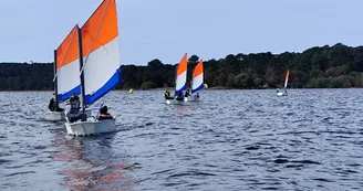 CNBO Optimist