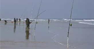 surfcasting