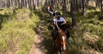 les-ecuries-de-l-hacienda-rando-cheval