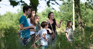 balade contée autour des arbres