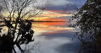 Cognacq lac de  Sanguinet