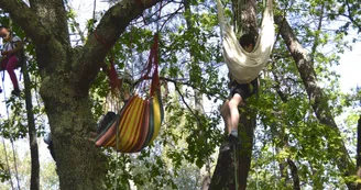 Grimpe d'arbre 4