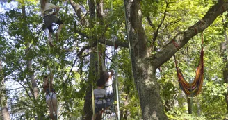 Grimpe d'arbre 5