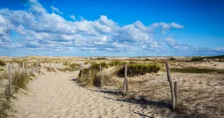 plage-oceane-biscarrosse