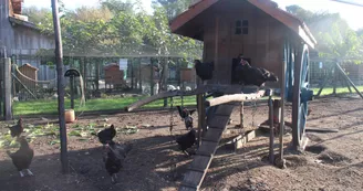 ferme-pédagogique-association-culturelle-biscarrossaise