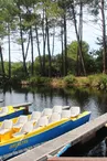 IMG-0782-4